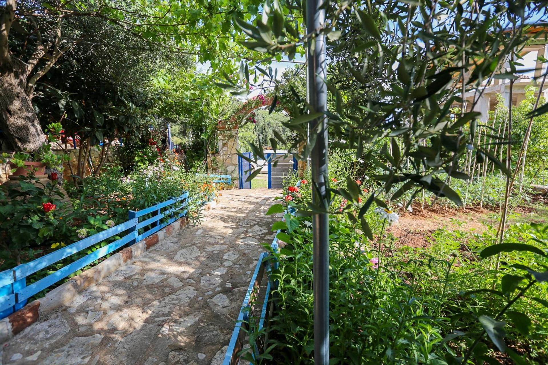 Holiwood * Himarë