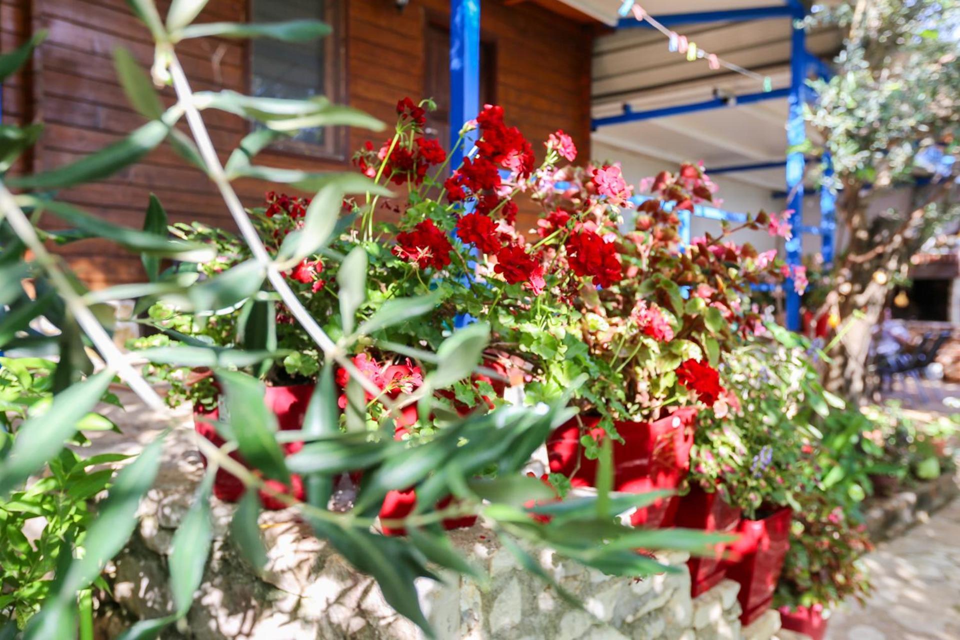 Holiwood Motel Himarë